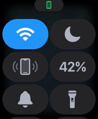 Apple Watch Quick Menu Screenshot