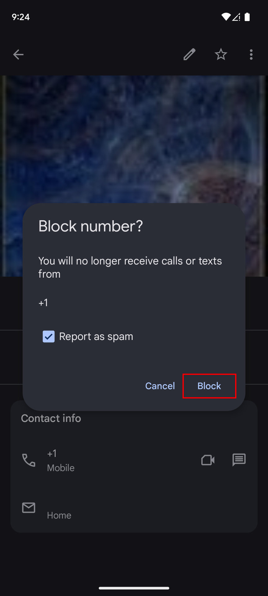 Block contact on Pixel using the Contacts section from the Phone app 4