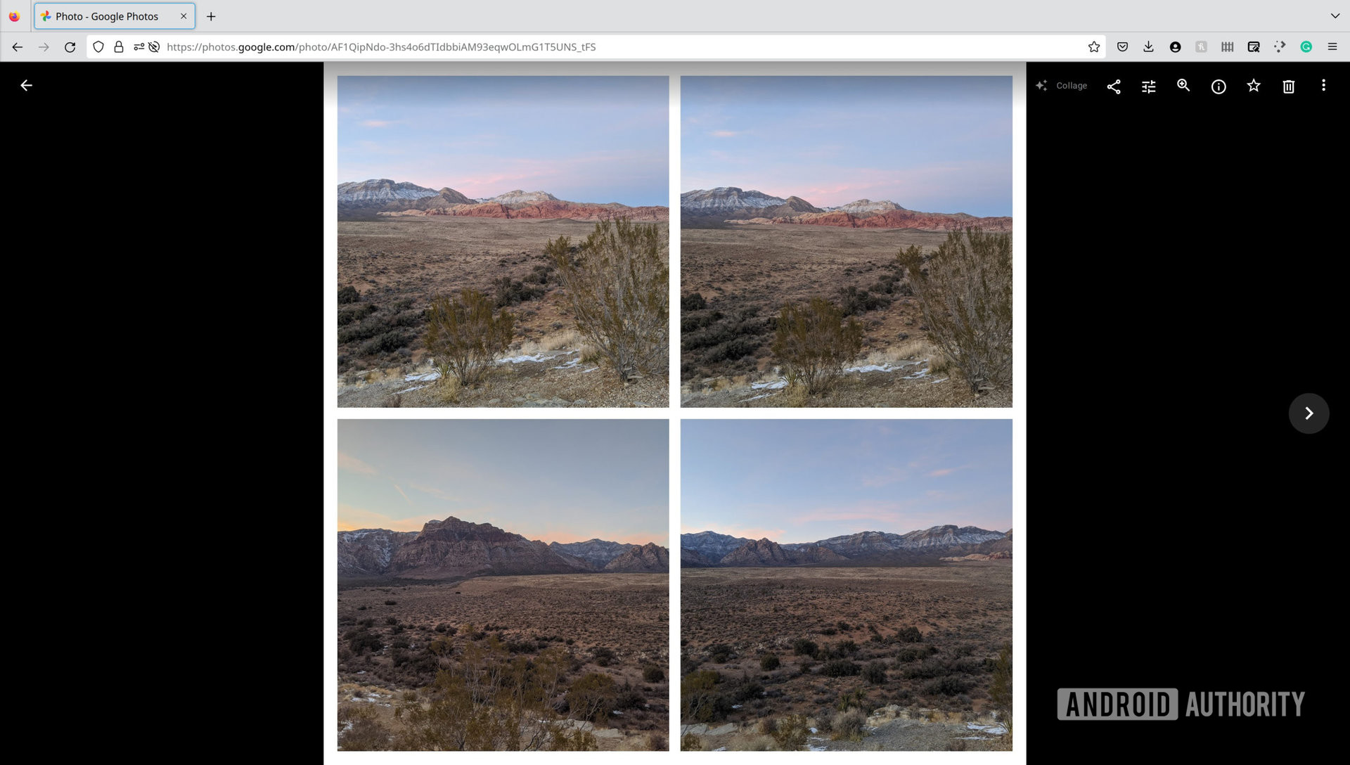 A screenshot of the Google Photos desktop website showing a collage created from four photos.