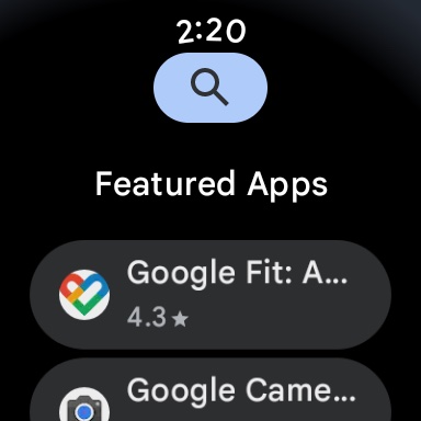 Pixel Watch Screenshot Play Store