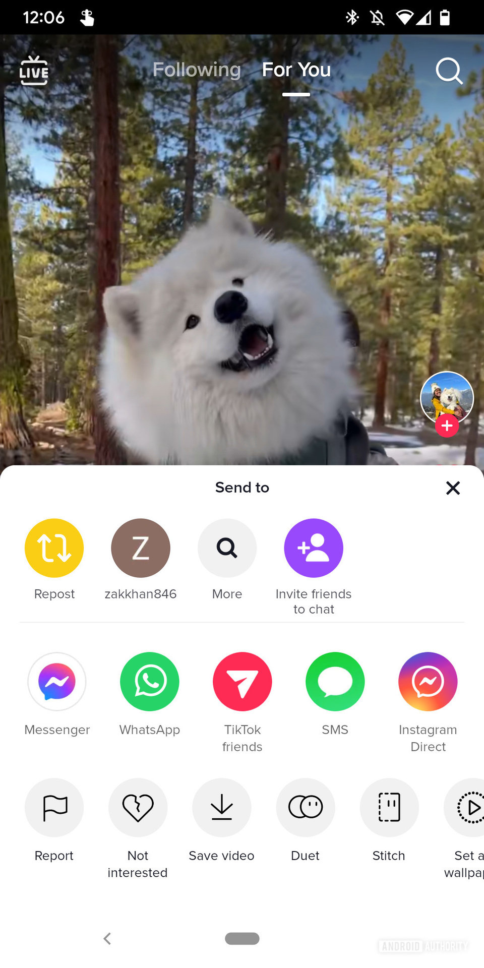 A screenshot of a TikTok video showing the sharing menu with the "Repost" option visible.
