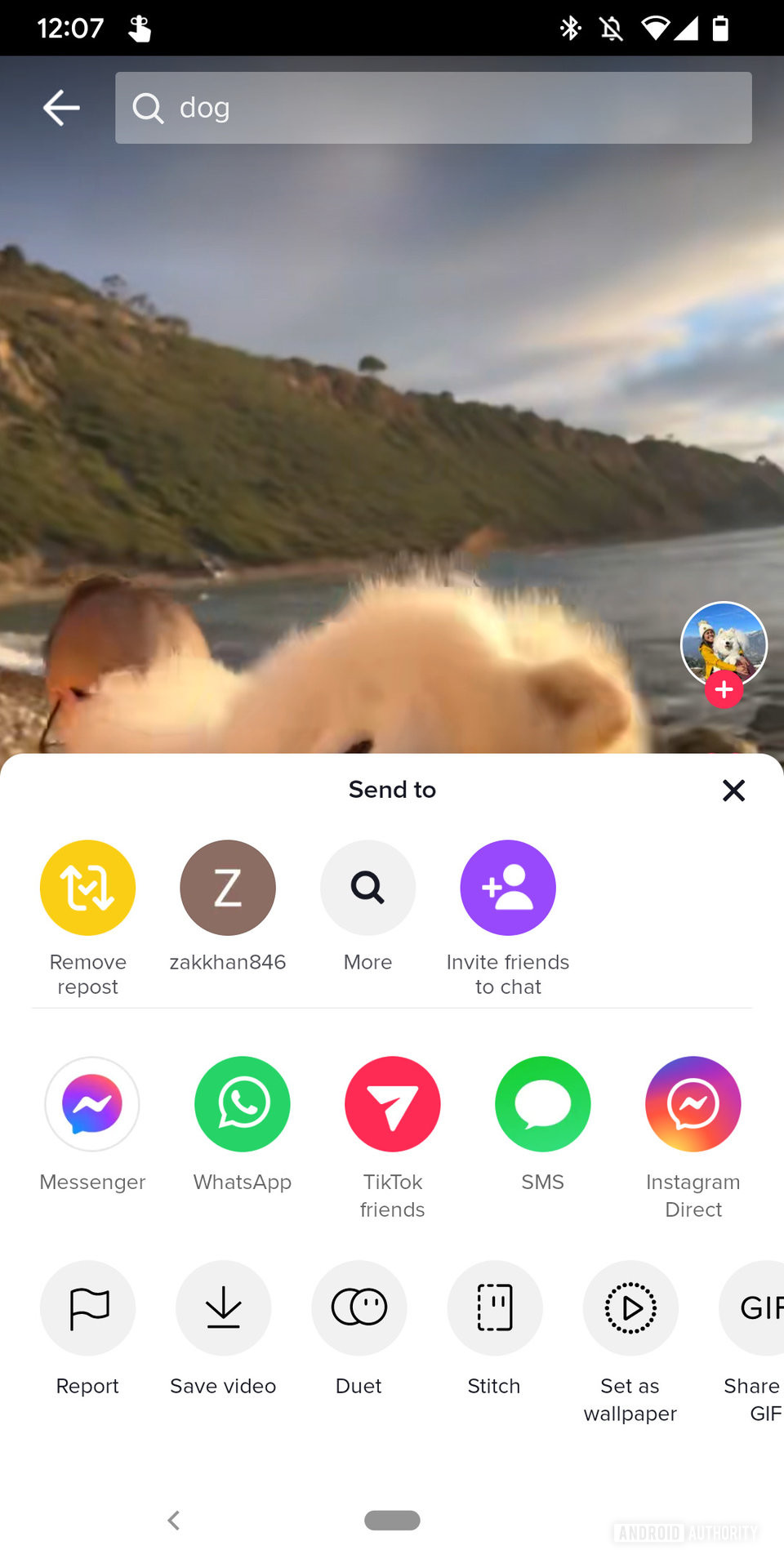 A screenshot of a TikTok video showing the sharing menu with the "Remove repost" option visible.