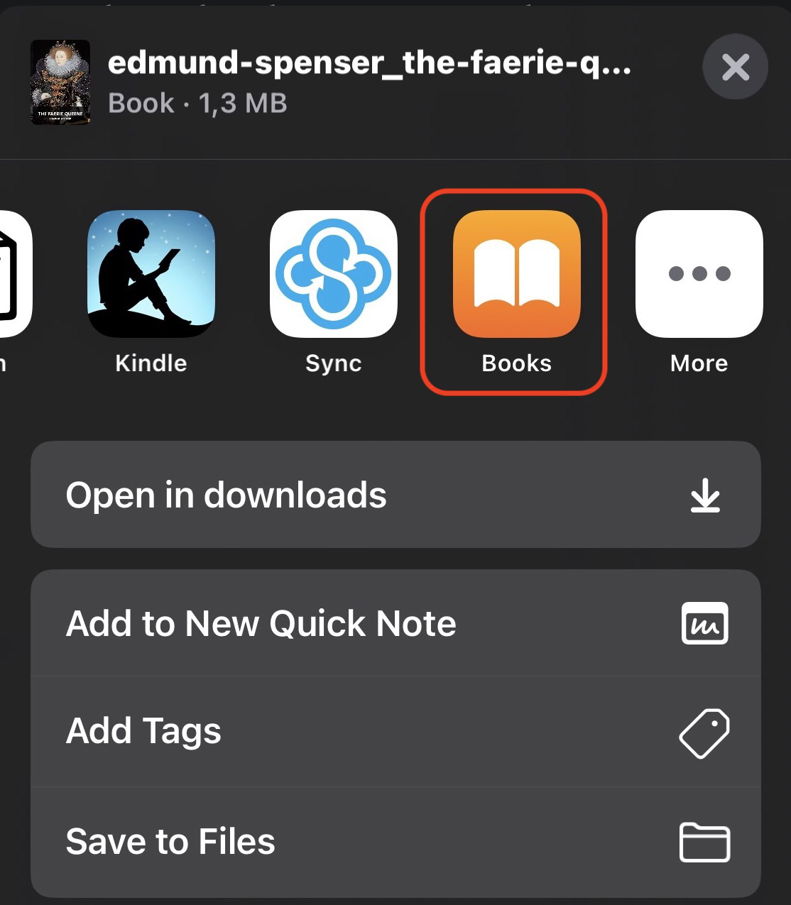 epub open in books ios