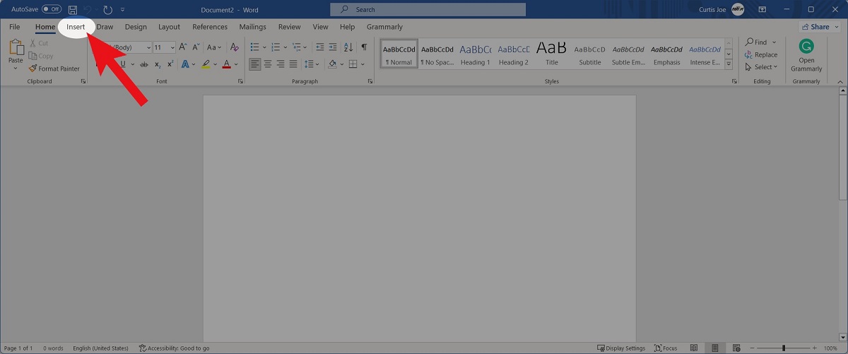 go to insert in new word document