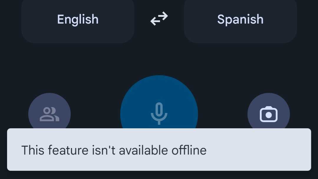 google translate feature isnt availible offline error message