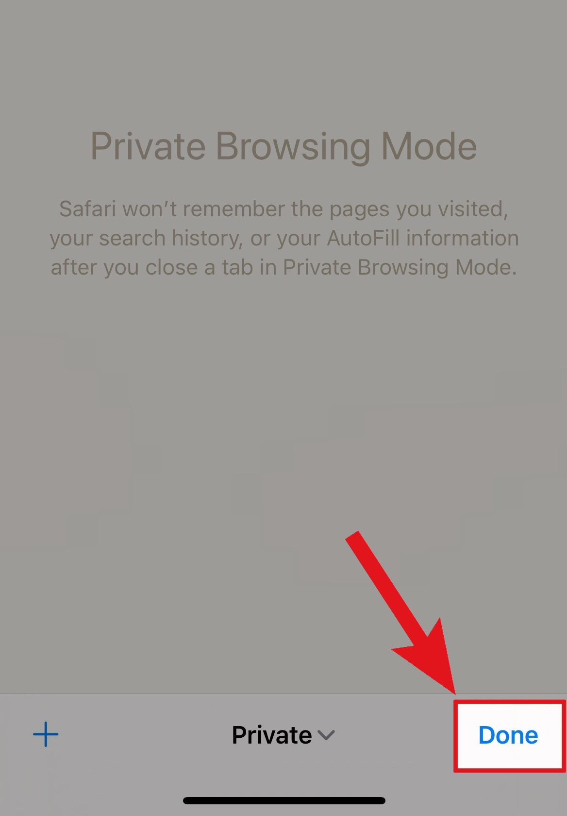 private mode safari app