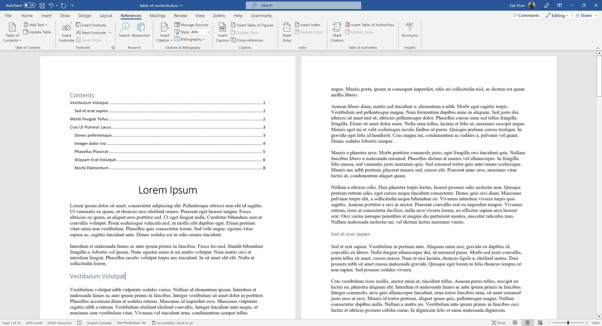A screenshot of Microsoft Word showing a table of contents in a document.