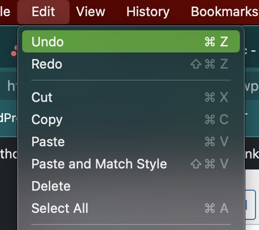 How to Undo and Redo on a Mac