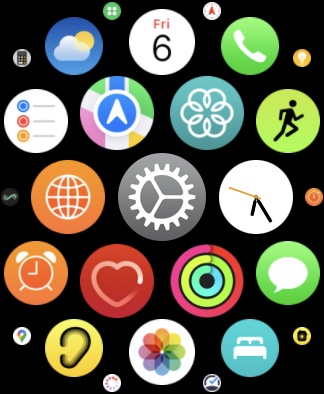 Apple Watch Settings App