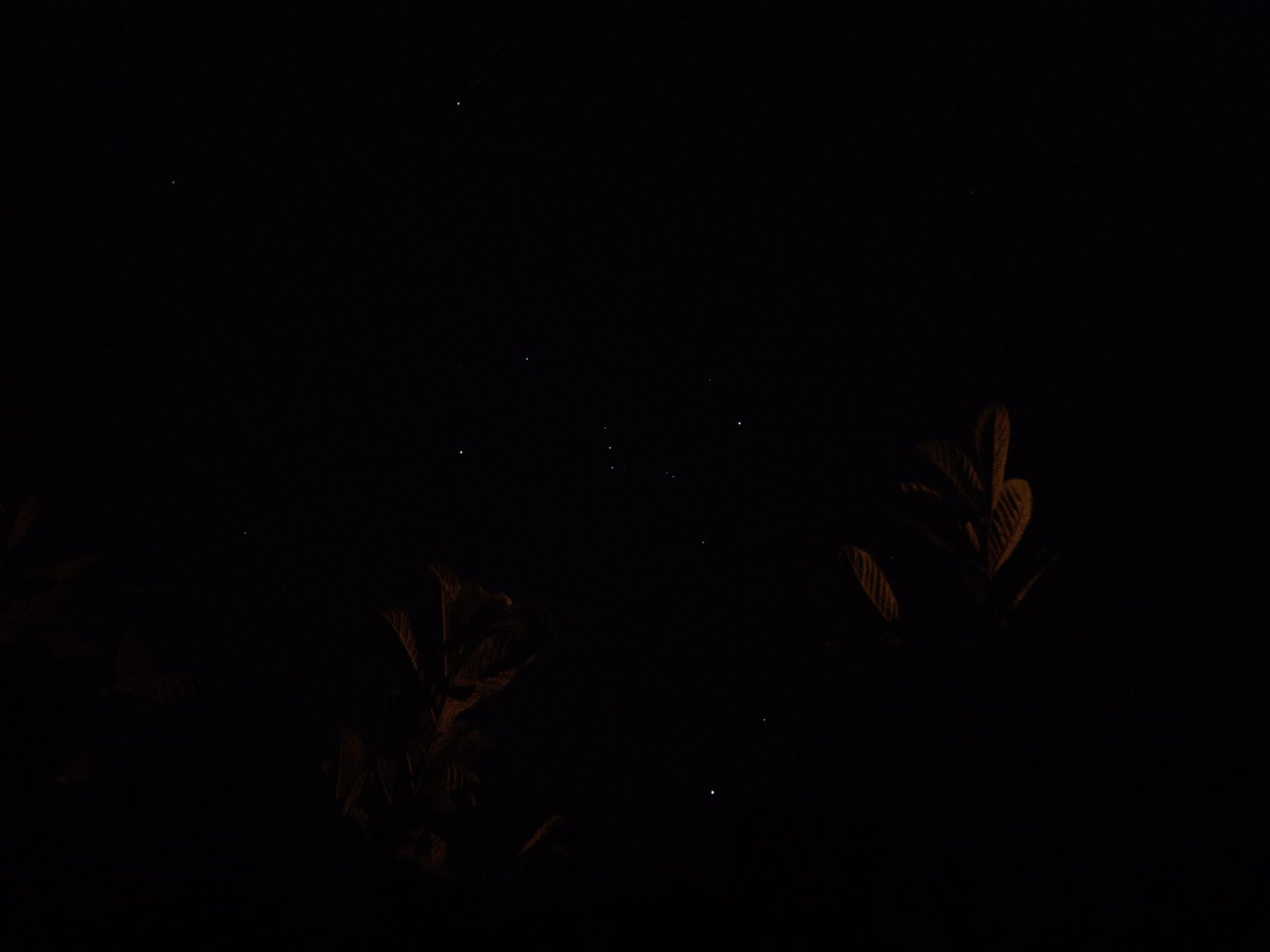 Edwards Urbina S23 Ultra standard mode leaves