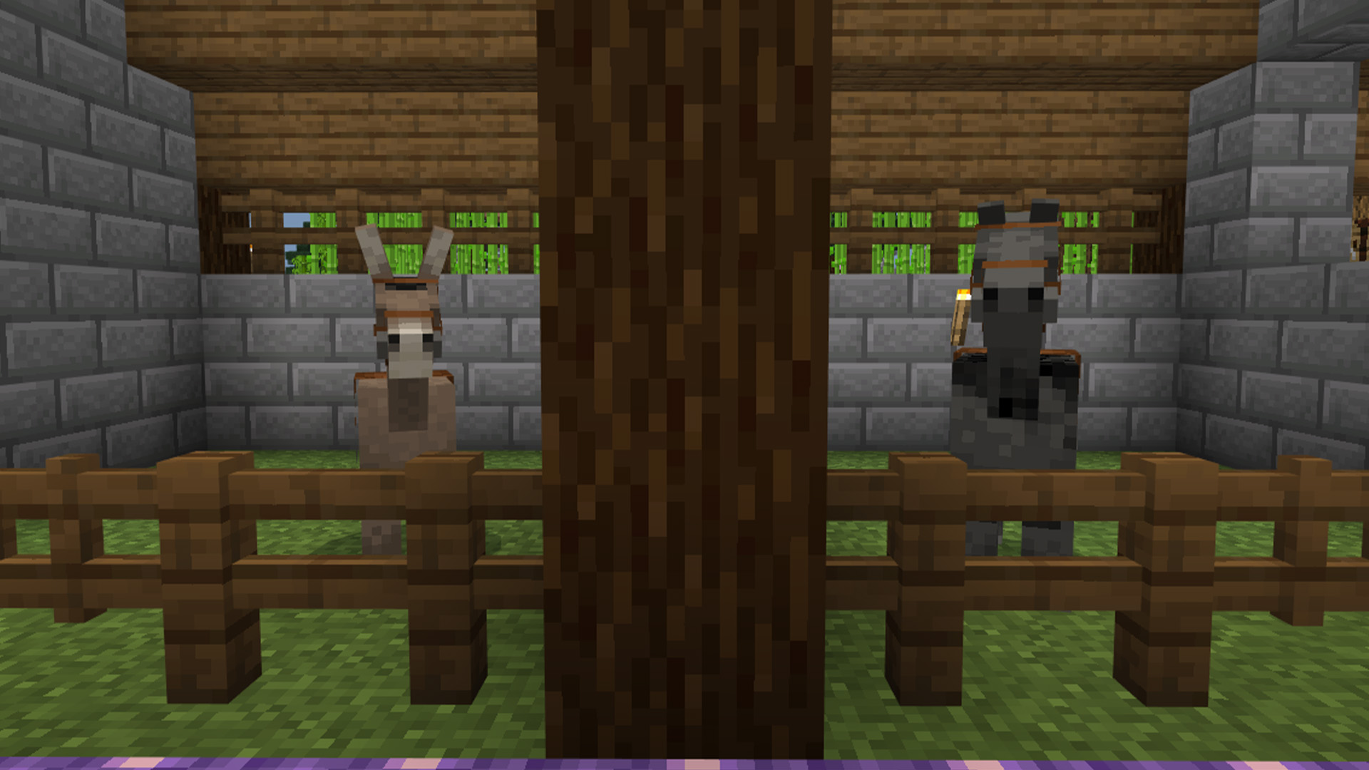 Horse and Donkey Minecraft
