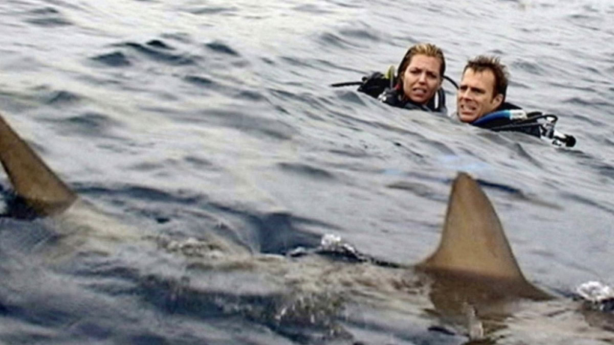 A man and woman in Scuba gear see a shark in the water near them in Open Water