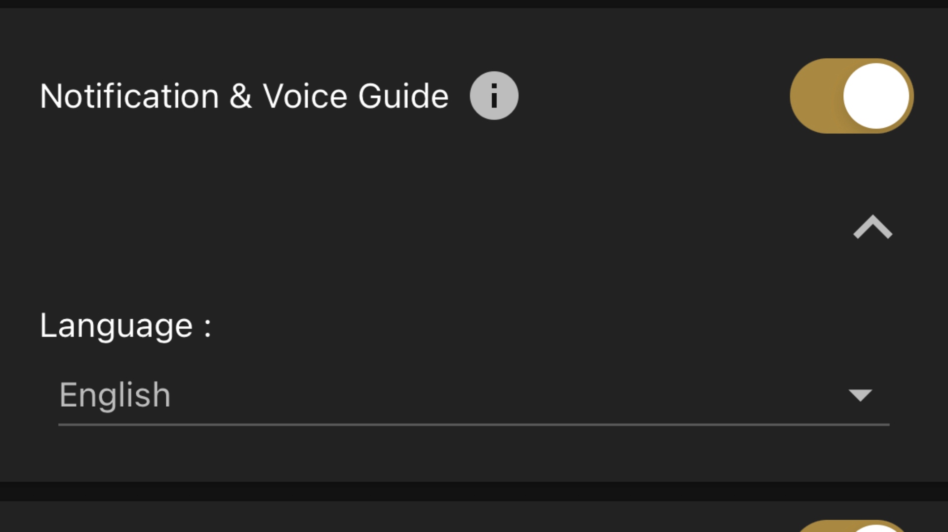 Guía de voz Sony WF 1000XM4