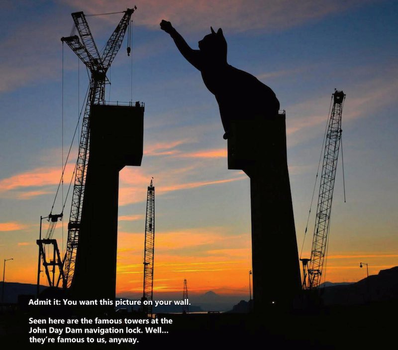 cats playing with cranes Portland District US Army Corps of Engineers calendar