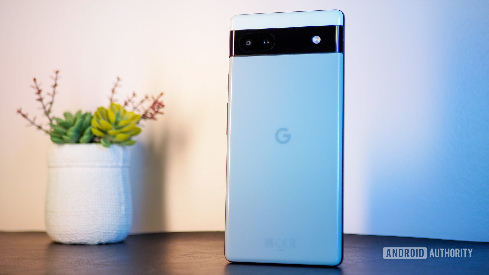 Google Pixel 6a in Sage color, seen from the back