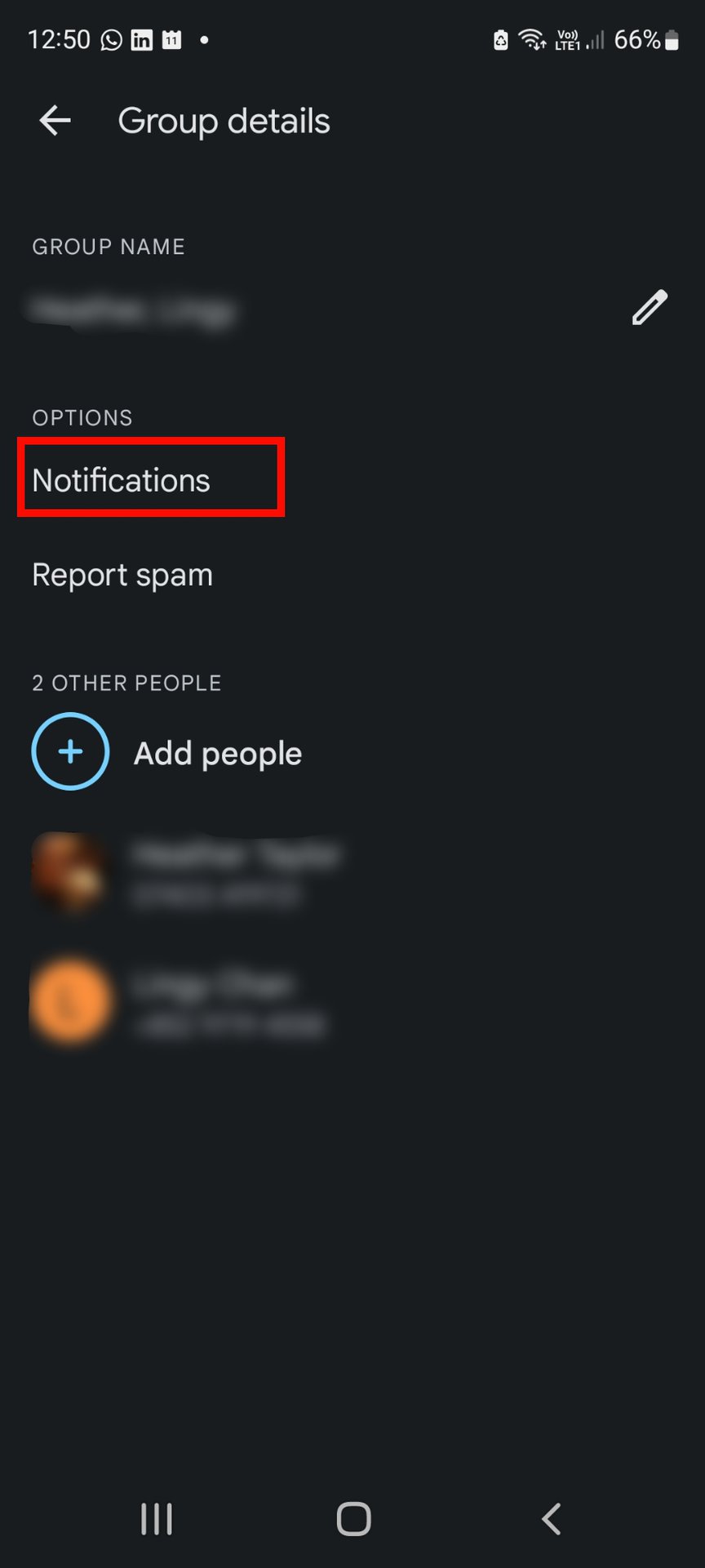 Muting a group chat on Google Messages by selecting Notifications.