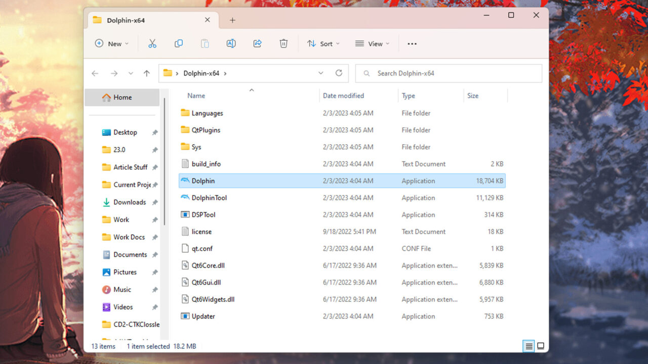How to install and use Dolphin Emulator Android Authority