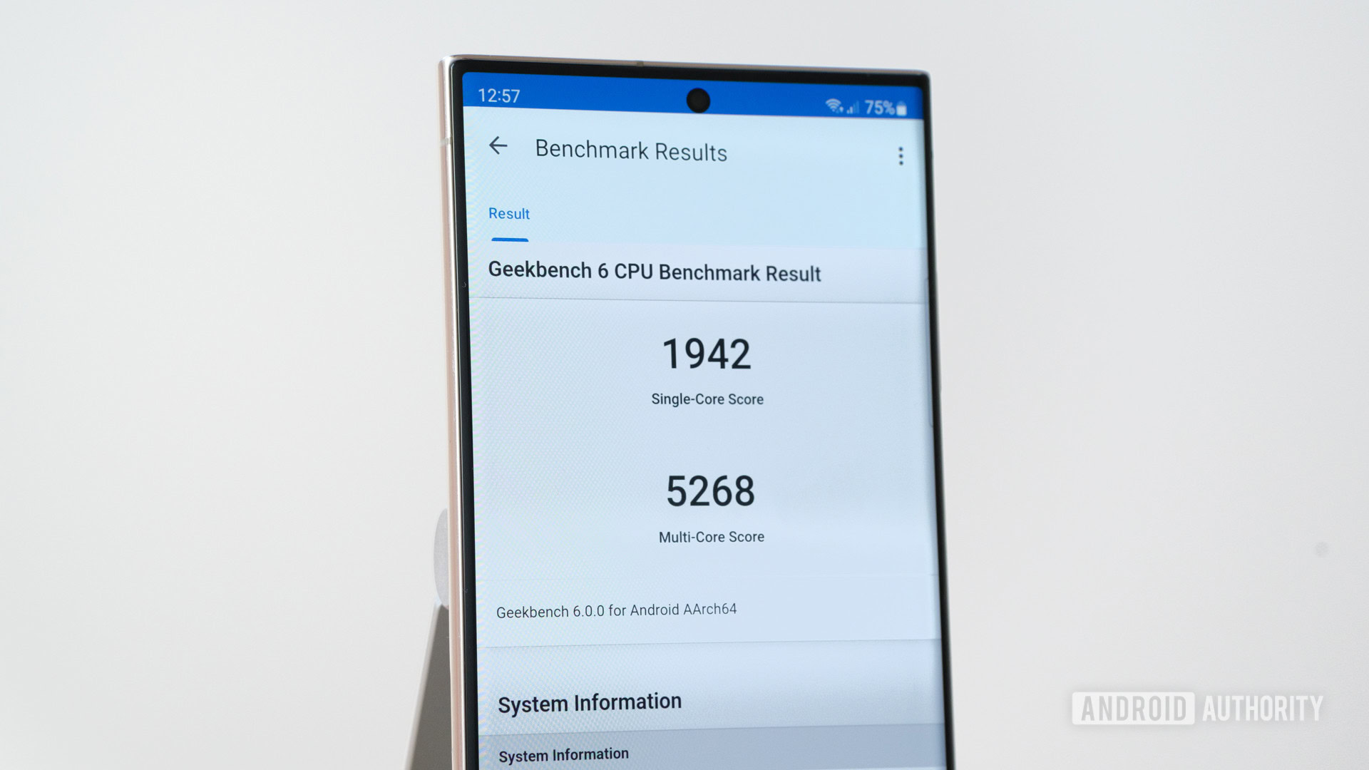 Geekbench 6 result screen close