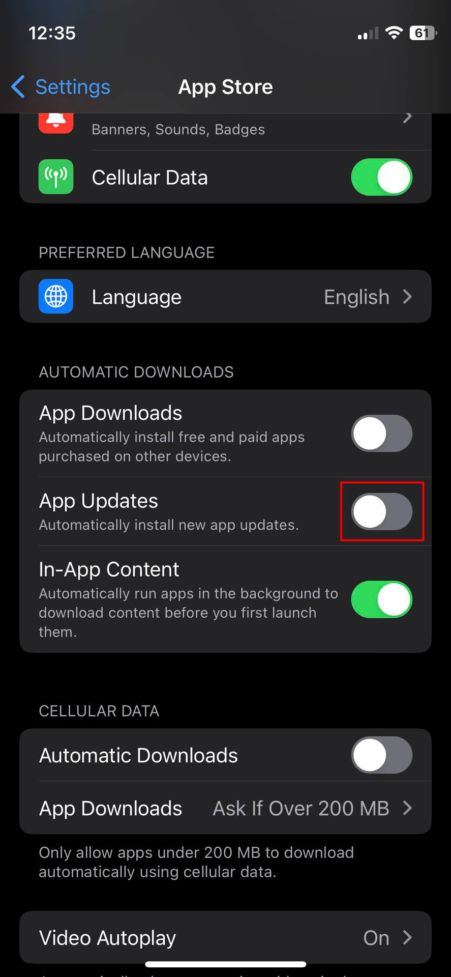 Apple App Store自動更新をオフにする方法2