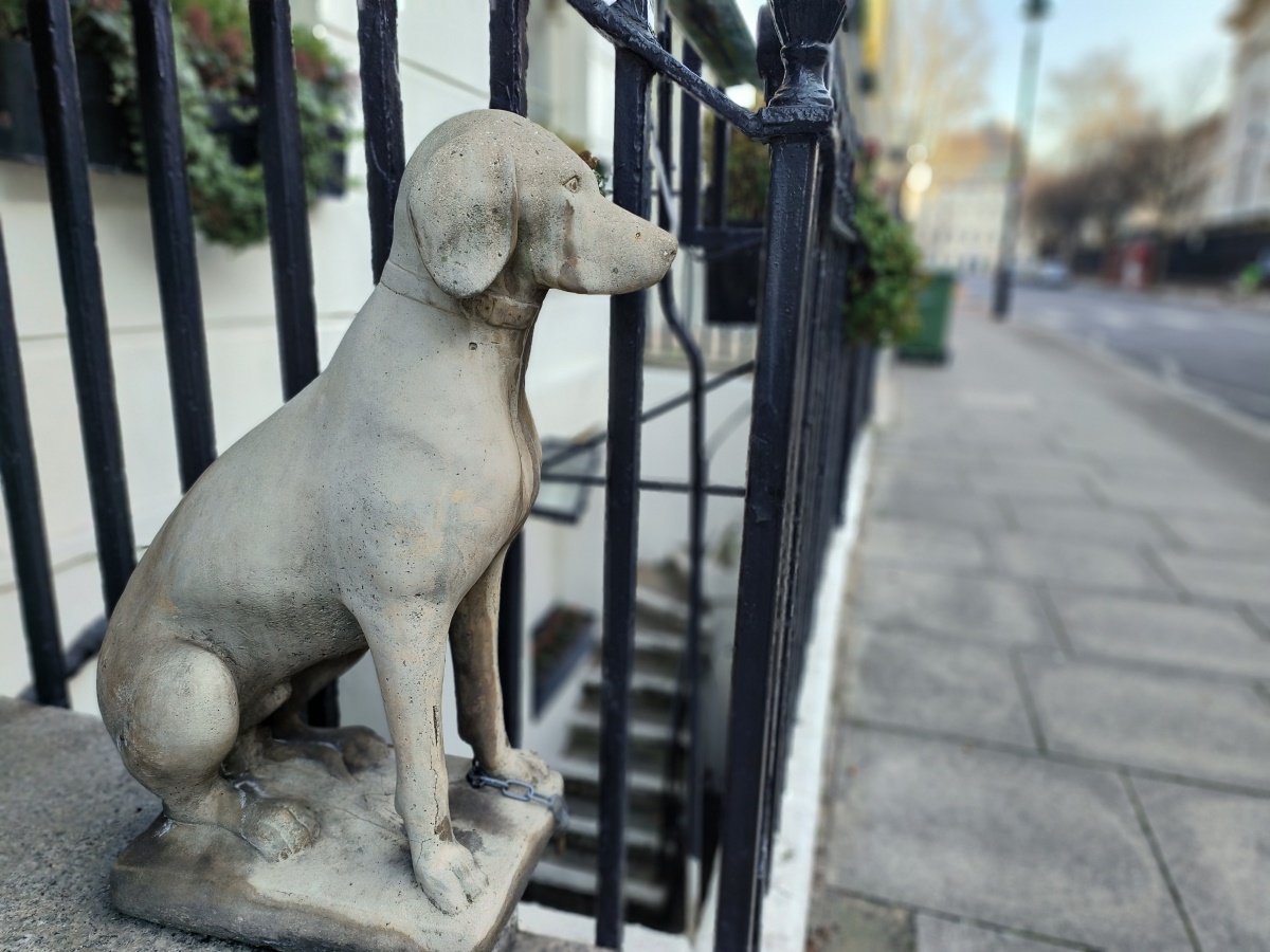 Oppo Find N2 Flip camera portrait dog statue