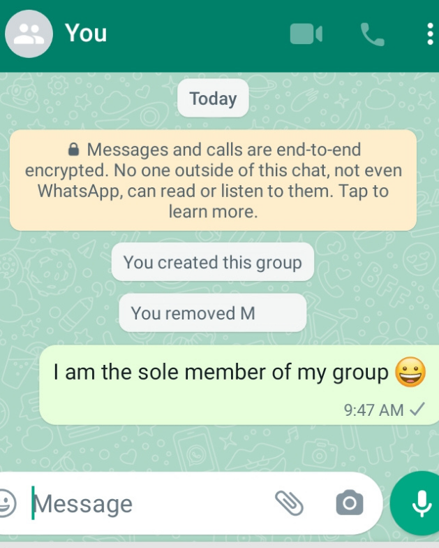 Whatsapp Group Sole member