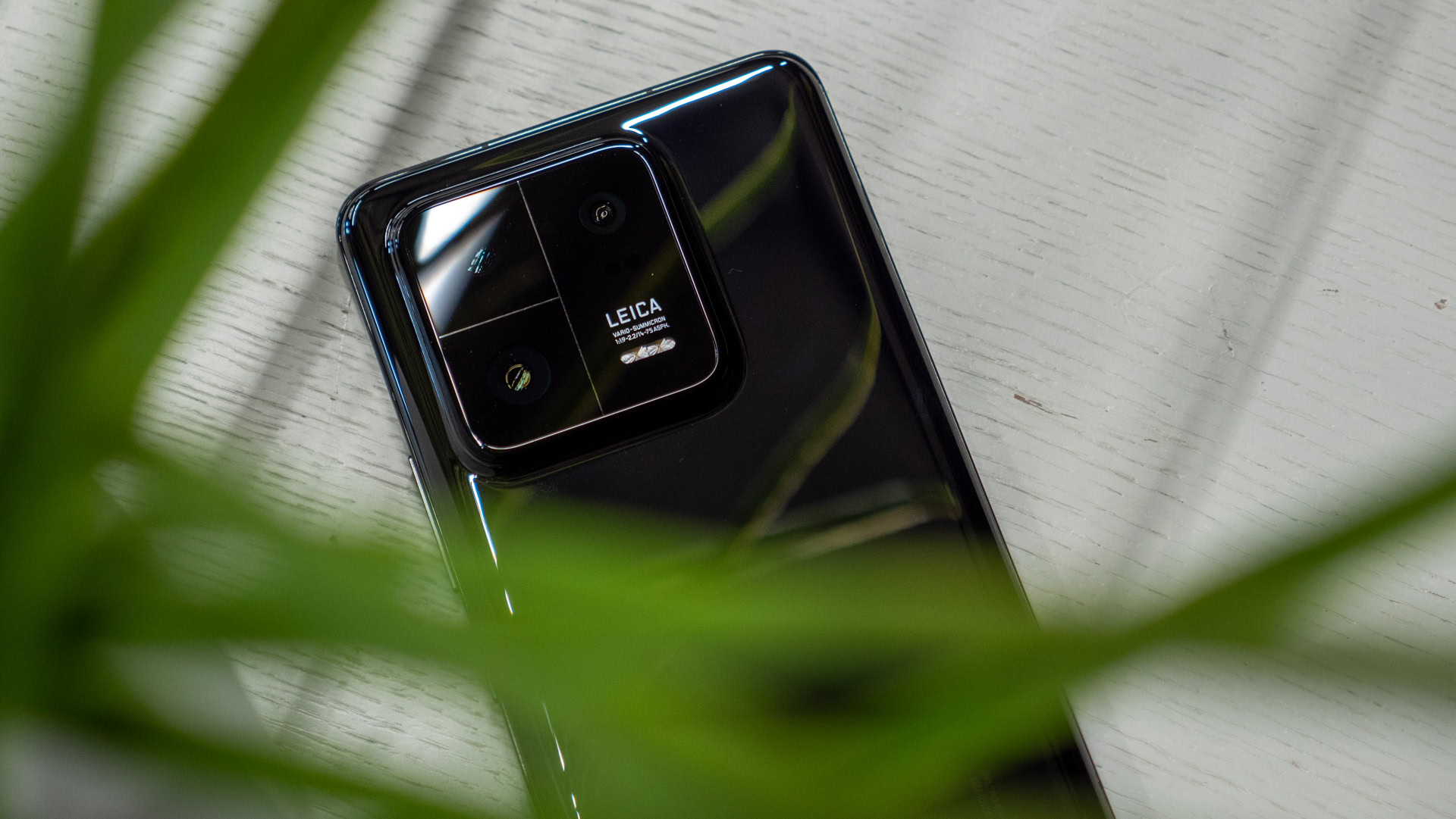 Xiaomi 13 Pro cameras under plant - Phones with 12GB of RAM