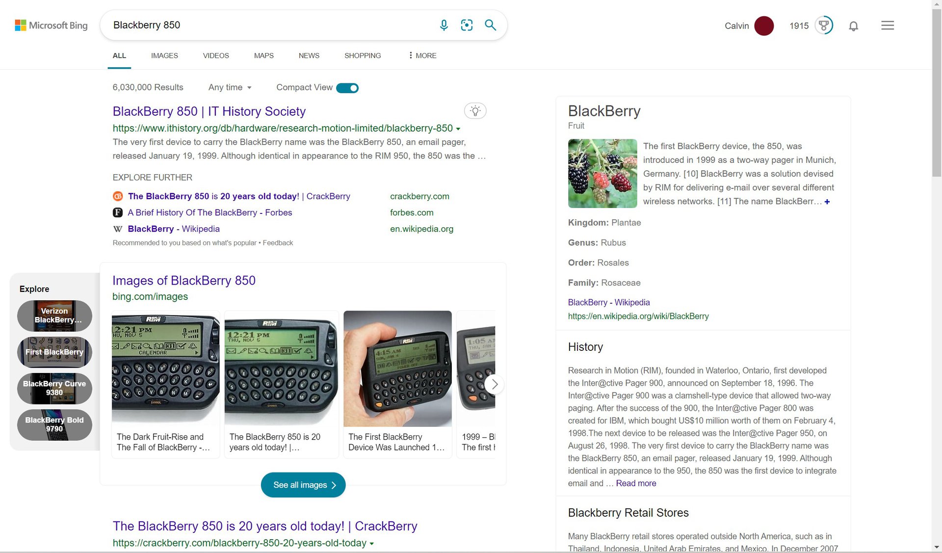 bing memberi label blackberry sebagai buah, tetapi menggambarkannya sebagai telepon nanti di kotak info.