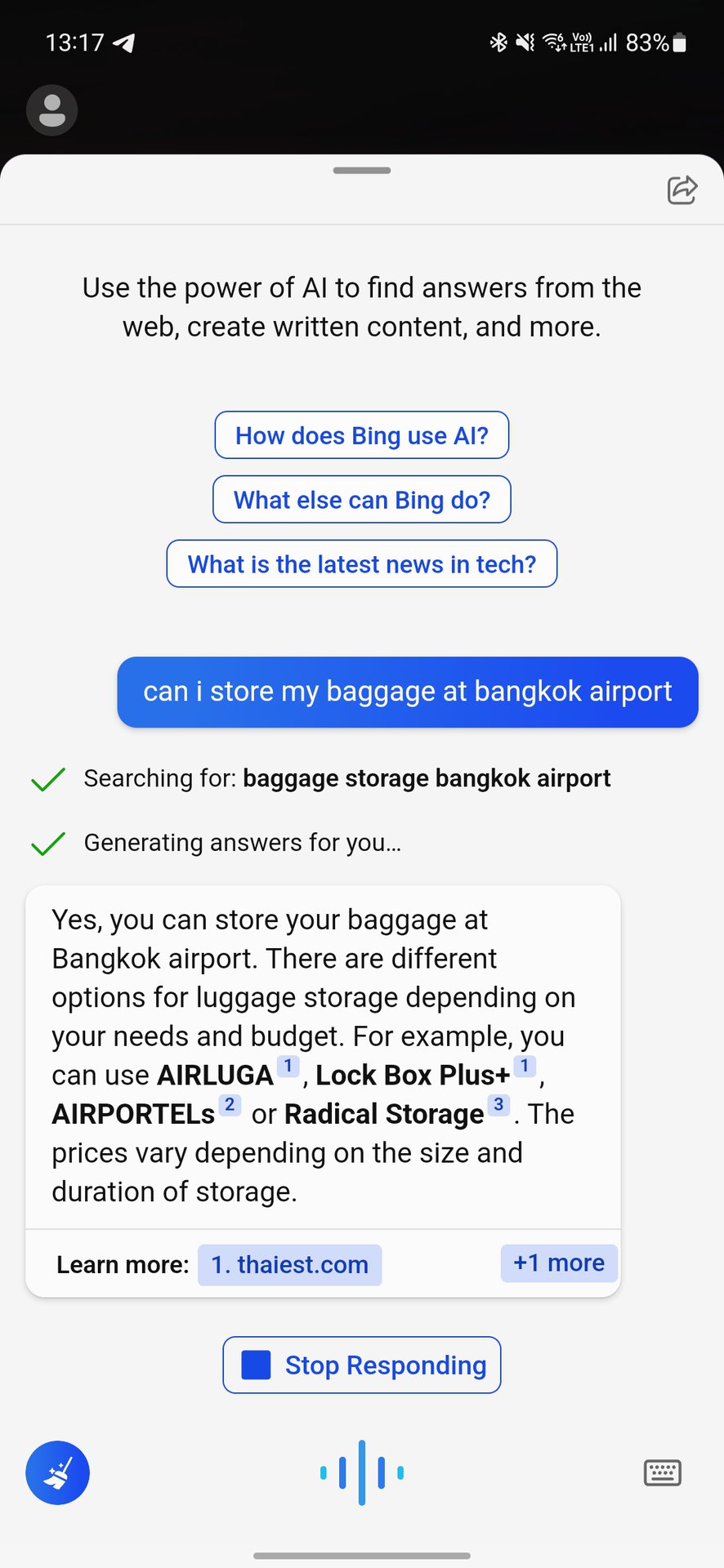 Bing almacenamiento de equipaje pregunta 1