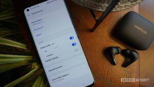 Are cheap earbuds good enough or should you buy expensive earbuds?