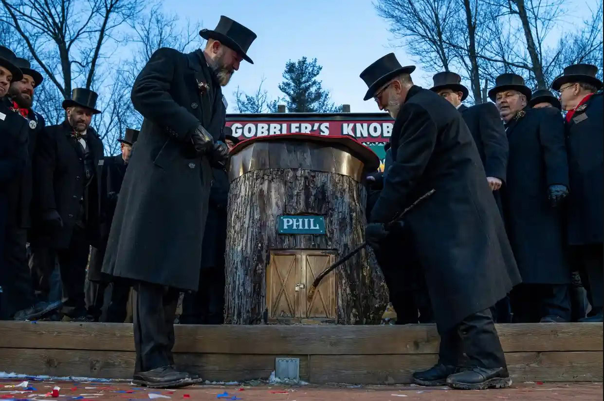 punxsutawney phil