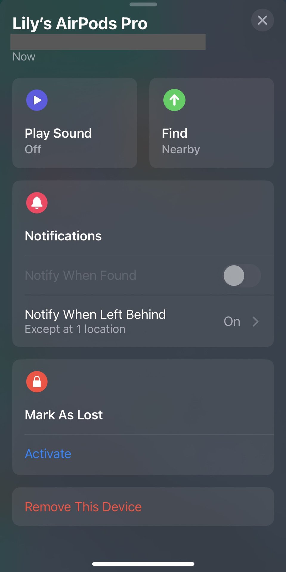 A screenshot of the Apple AirPods Pro options in the FindMy app.
