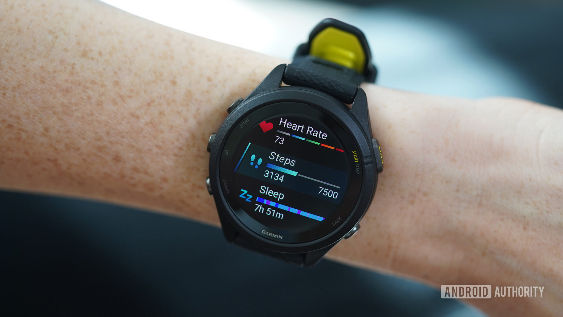 The Forerunner 265 features a colorful AMOLED display that could be added to the Forerunner 65.