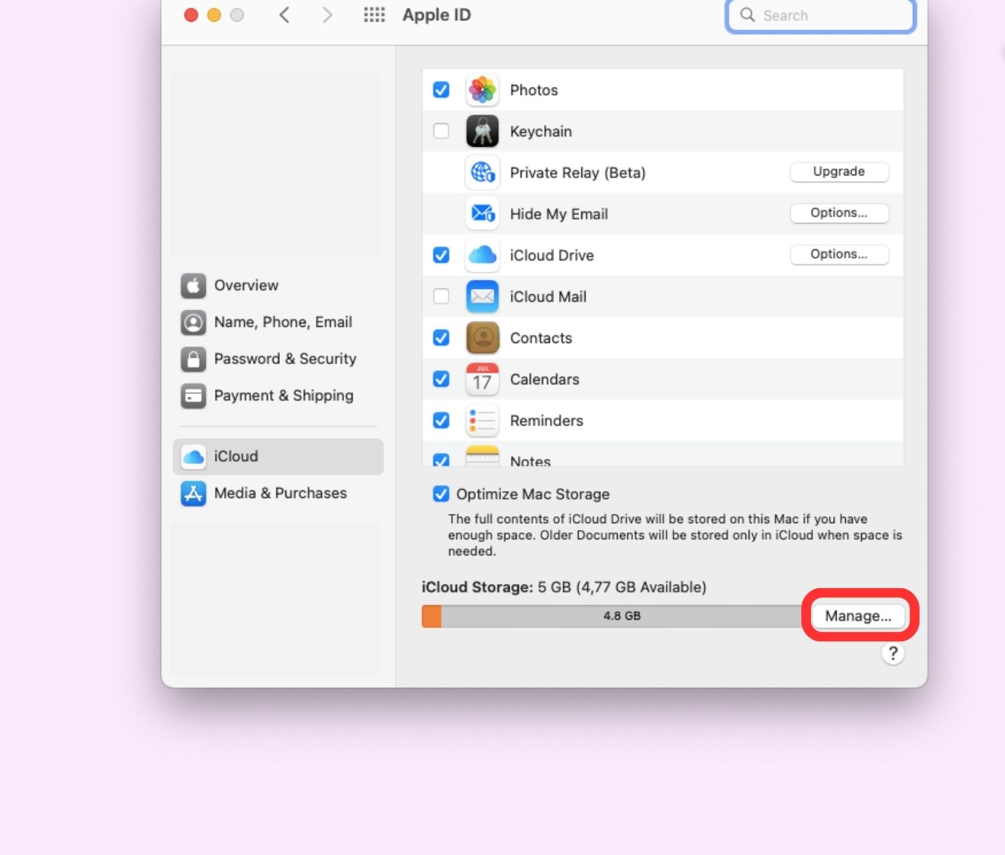Mac manage iCloud storage