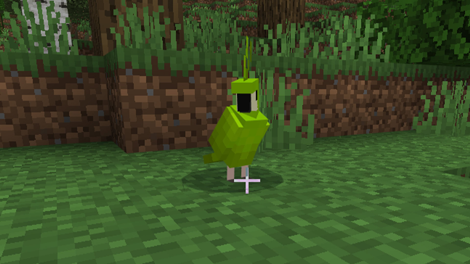 Parrots in Minecraft 3