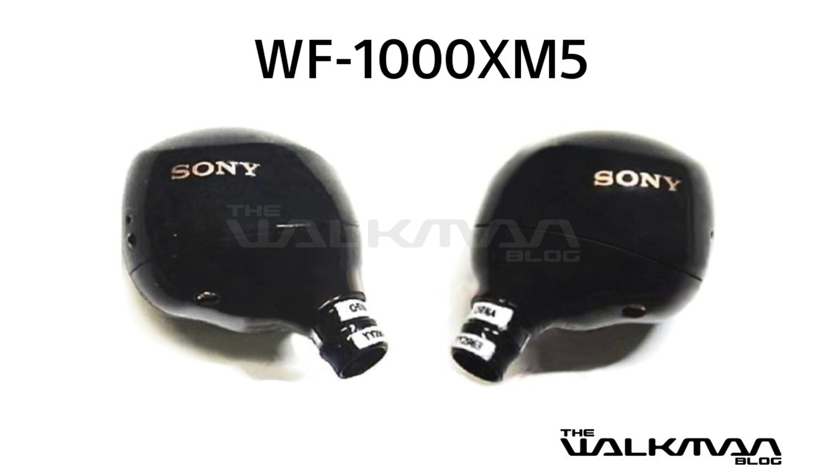 A leak of the Sony WF 1000XM5 earbuds.