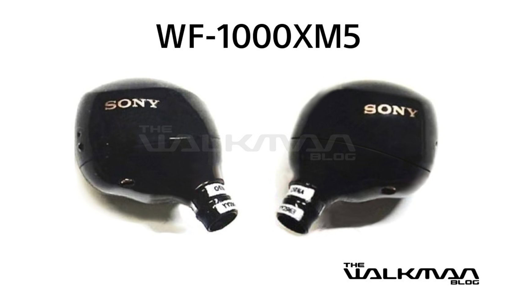 Sony WF-1000XM5 leak reveals new design - Android Authority