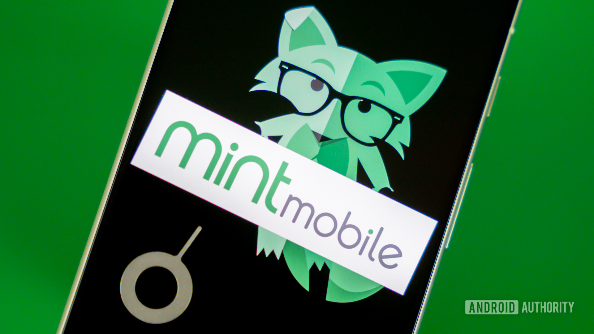 Stock photo of Mint Mobile fox on phone 1