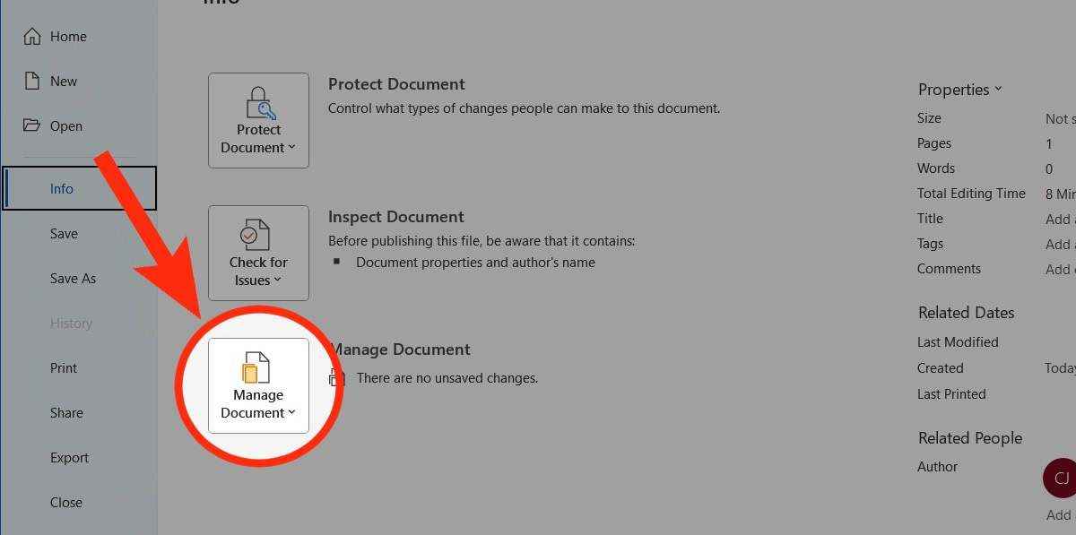 click manage document word