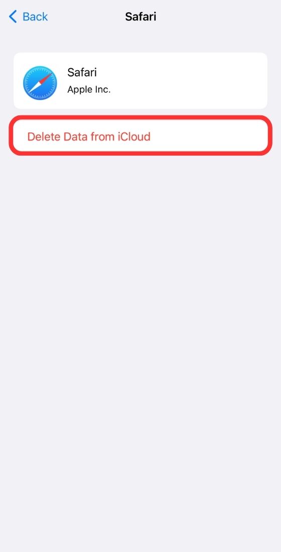 delete data from iCloud
