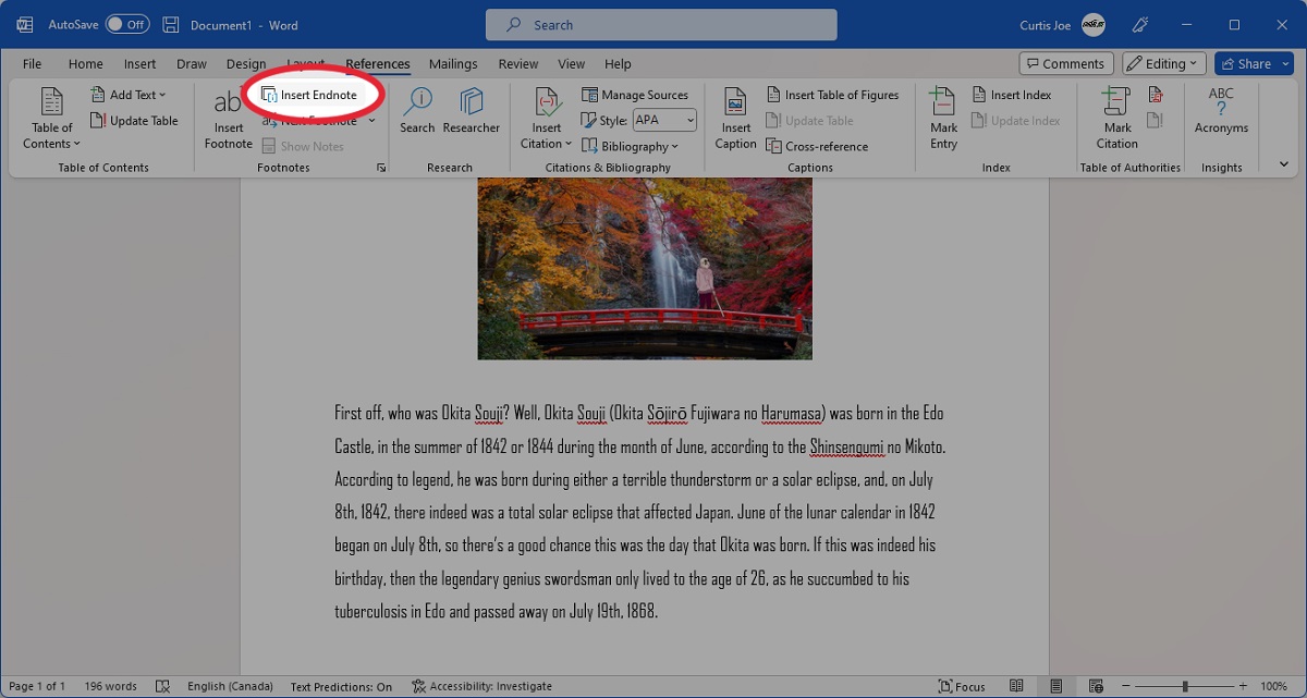 insert endnote in microsoft word