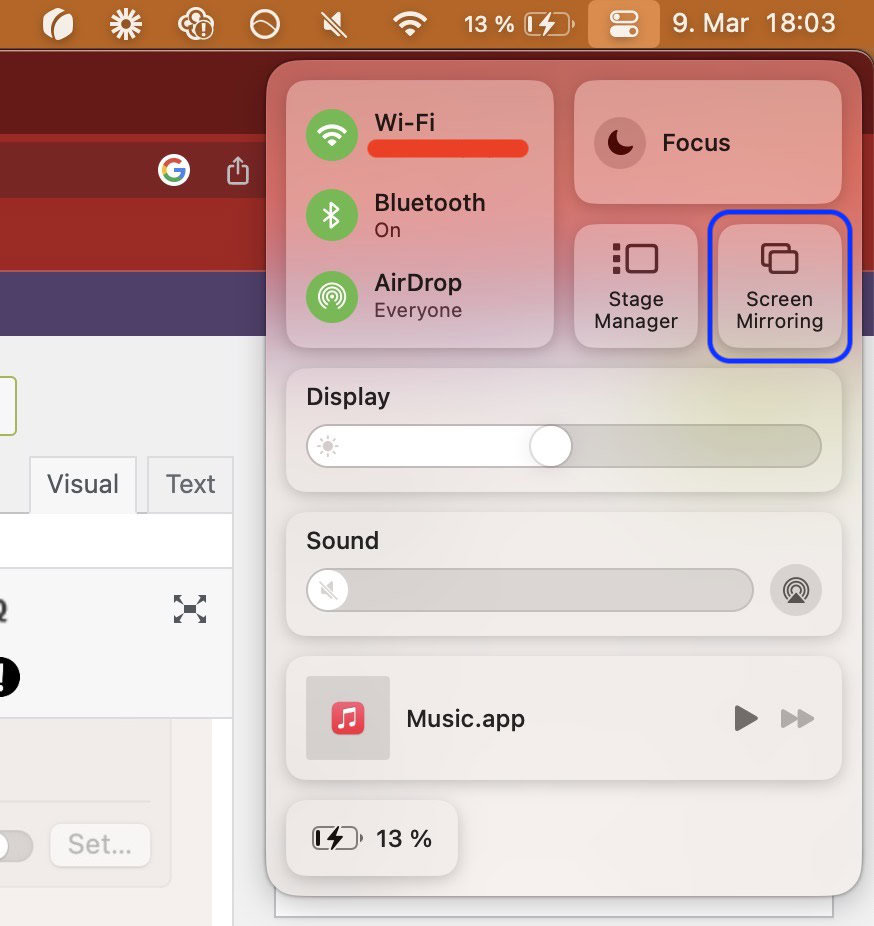 mac screen mirroring 2