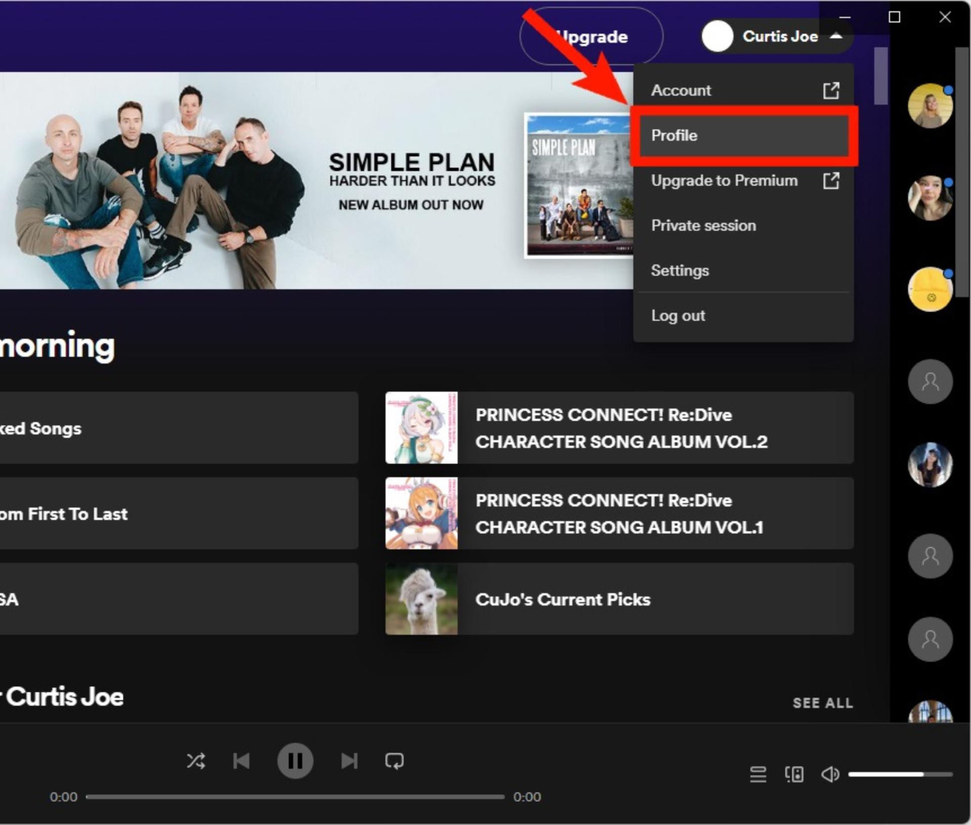 Spotify desktop menu option profile tab