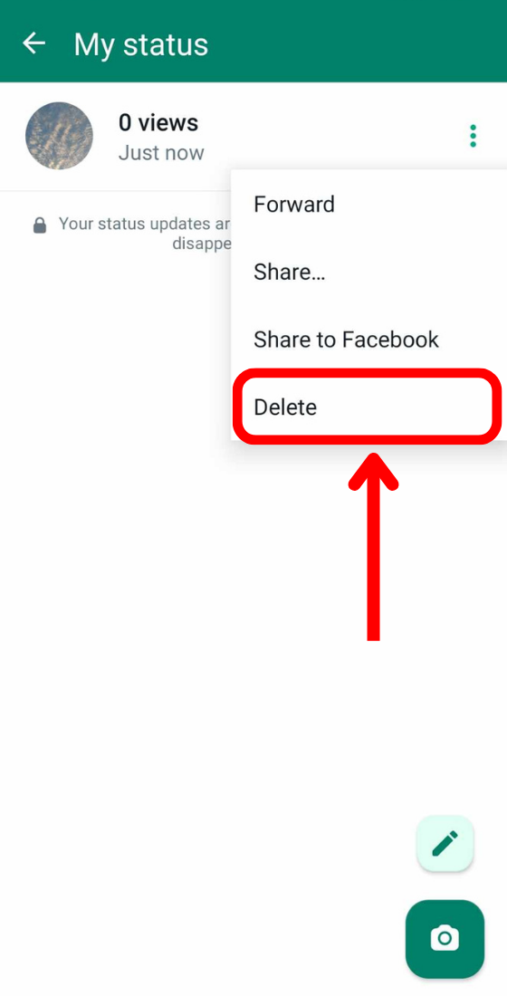 whatsapp updates my status three dots button delete