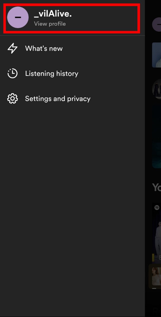 Spotify app menu option username view profile tab
