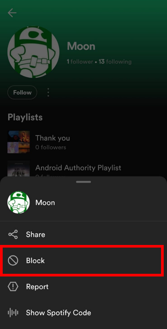 spotify app profile username option menu block