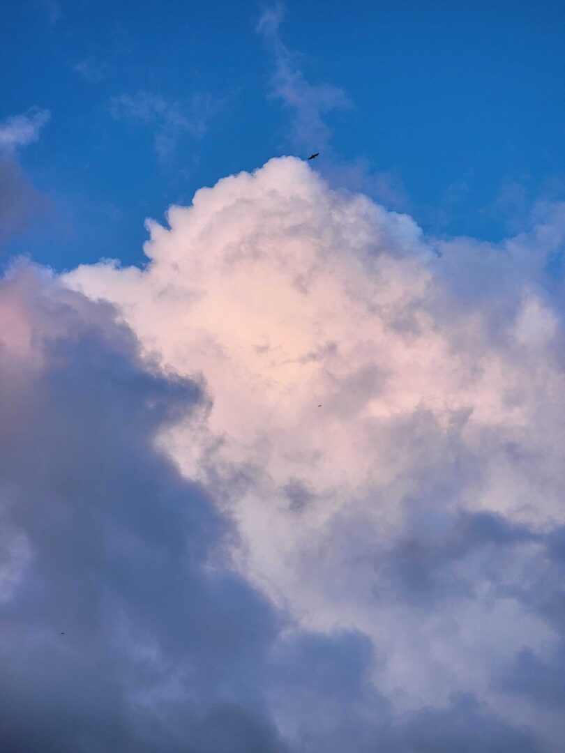 Wallpaper Wednesday: Android wallpapers 2023-04-26 - Android Authority