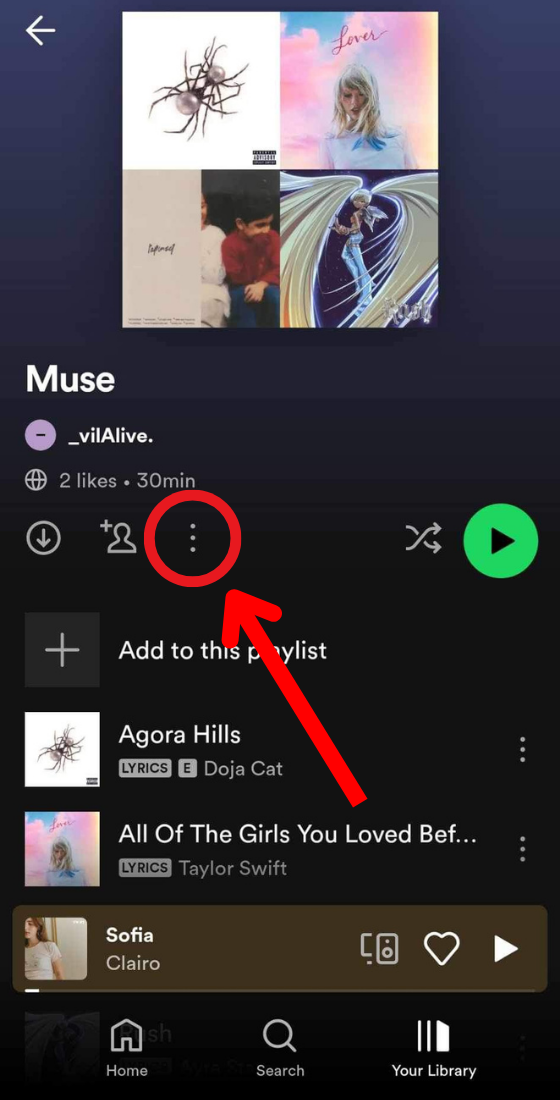 Spotify app playlist three vertical dots button