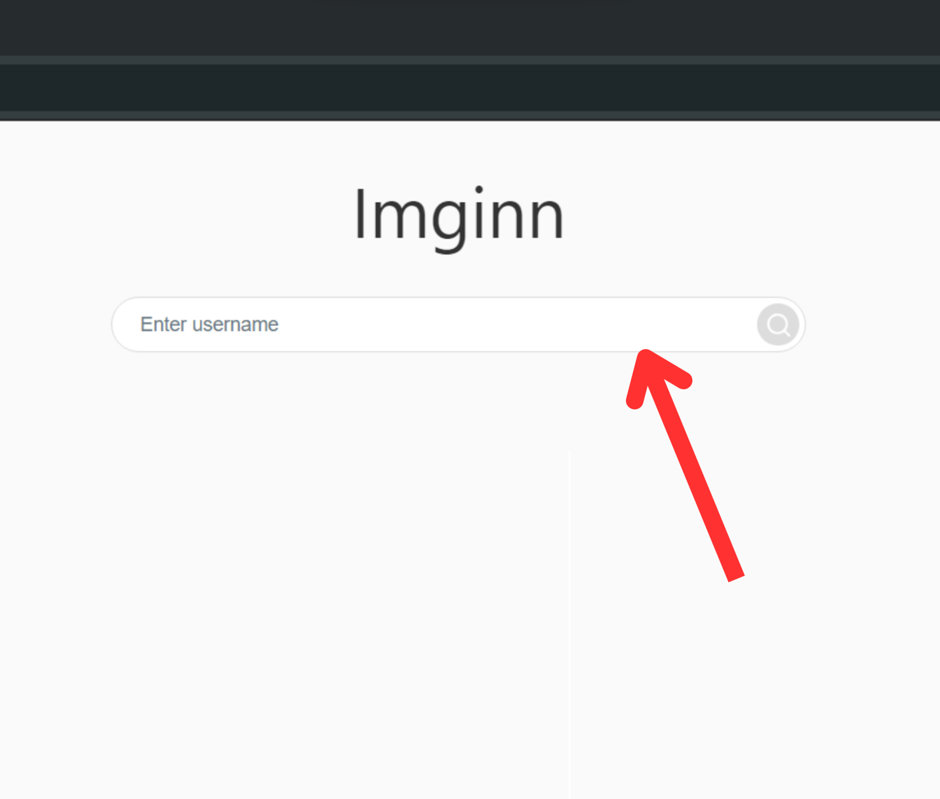 imginn website enter username box