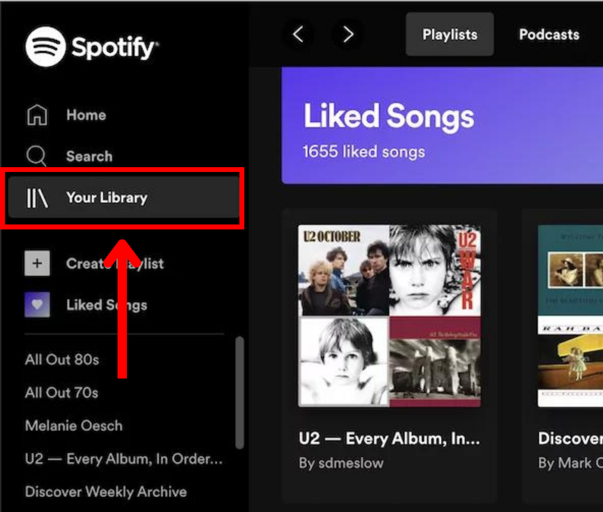 Spotify desktop your library