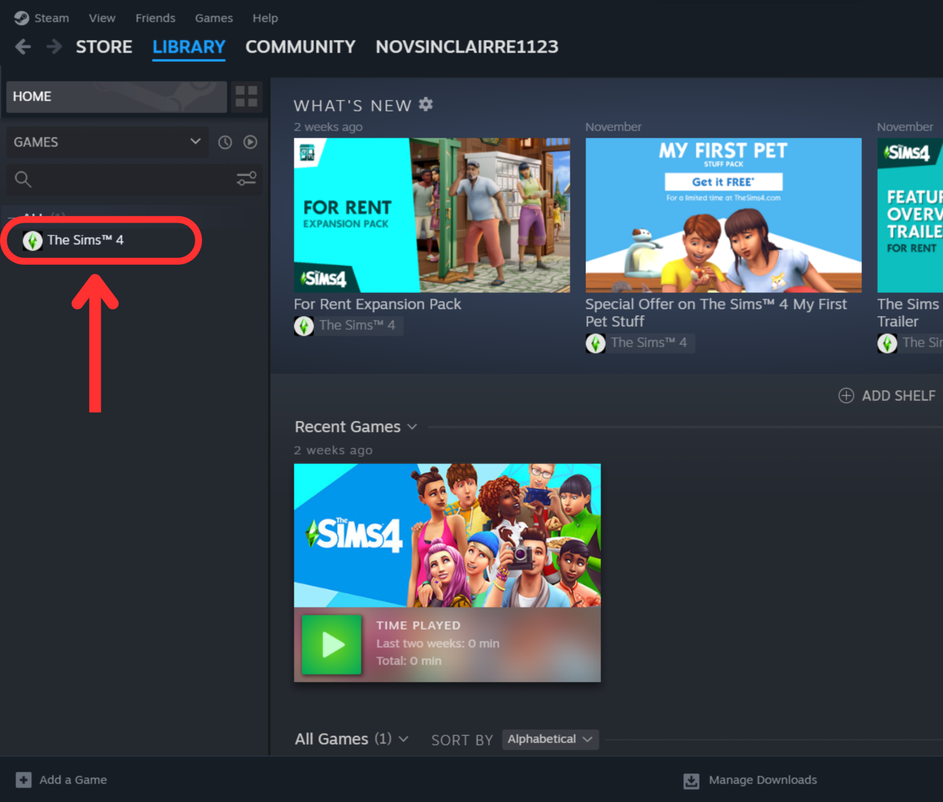 steam library game name